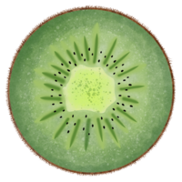 Fresh kiwi sliced png