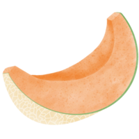 rebanado orgánico Cantalupo png