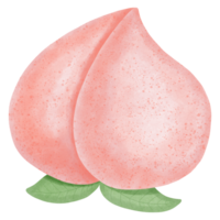 Very pink peach png