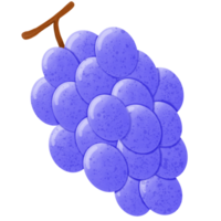 Bunch of purple grapes png