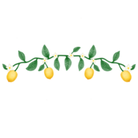 Set of lemon farm and afternoon lemon tea png