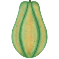 Fresco orgánico papaya png