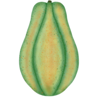 färsk organisk papaya png