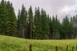 the austrian alps photo