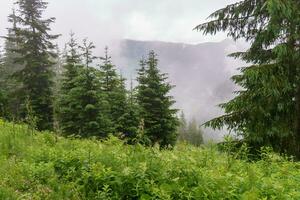 hiking in the austrian alps photo