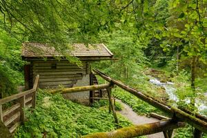 hiking in austria photo