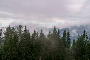 hiking in the austrian alps photo