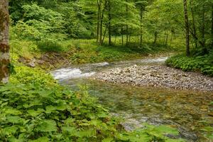 excursionismo en Austria foto