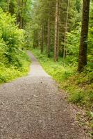 hiking in austria photo