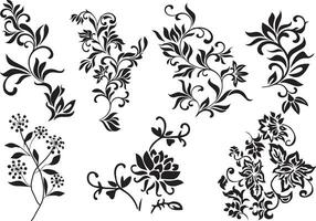 Group of Vector Pattern Floral and Vines Design and Embroidery