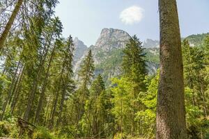 el belleza de Austria foto