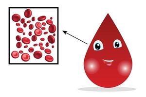 Donation concept, a drop of blood magnified with red blood cells vector