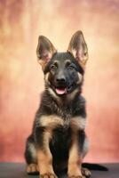 Very cute puppy German Shepherd in nature wide life animals. AI Generated. photo