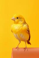 Very cute Canary in nature wide life animals. AI Generated. photo