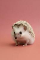 Very cute baby Hedgehog in nature wide life animals. AI Generated. photo