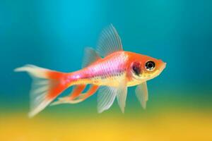 Very cute Swordtail in nature wide life animals. AI Generated. photo