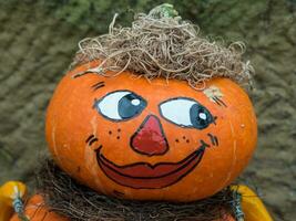 pumpkins in the garden photo