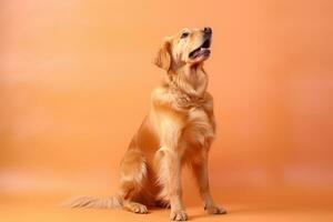 Cute Golden Retriever in nature wide life animals. AI Generated. photo