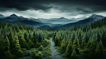 Top view of a dense green forest in nature, drone view of the reserve. AI generated photo