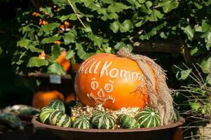 calabazas en alemania foto