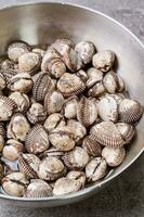 Fresh seafood cockles in a bowl photo