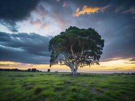 gratis foto amplio ángulo Disparo de un soltero árbol creciente debajo un nublado cielo durante un puesta de sol rodeado por césped ai generativo