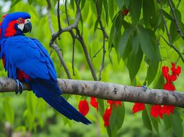 Photo colorful parrots bird on nature background. red and blue marcaw on the branches AI Generative