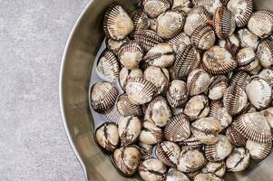 Fresh seafood cockles in a bowl photo