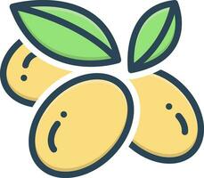 color icon for olives vector