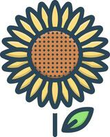 color icon for sunflower vector