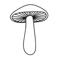 Hand drawn doodle mushroom. Icon outline mushroom isolated on white background. Vector illustration.