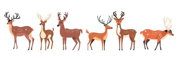 Set of deeres. Collection of deer and reindeer. Deer flat cartoon character. Vector illustration.