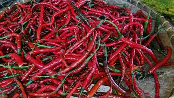 pila de algo de rojo chile pimienta en contenedores foto