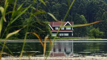 de meer huis en wild groen natuur video