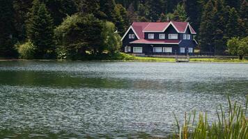 de meer huis en wild groen natuur video