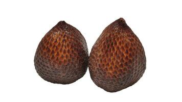 Salak or Snakefruit isolated with white background photo