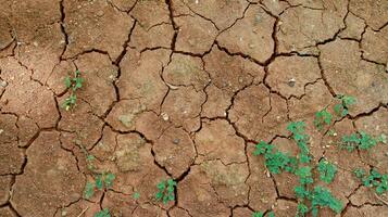 The ground has cracks in the top view for the background photo