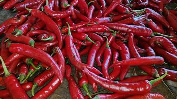 piles of red chili pepper in containers photo