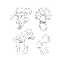 Mushrooms, toadstool. Hello autumn. Autumn season element, icon. Line art. vector