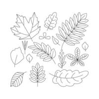 Leaf. Hello autumn. Autumn season element, icon. Line art. vector
