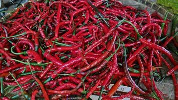 piles of red chili pepper in containers photo