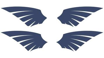 A set of bird wings isolated on a white background vector