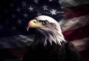 photo majestic bald eagle of american freedom