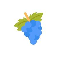 Grapes icon in vector. Illustration vector