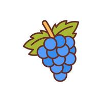 Grapes icon in vector. Illustration vector