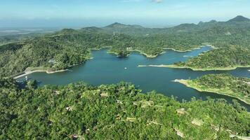 aéreo ver de waduk sermo artificial lago desde kalibru nacional parque, Indonesia. video