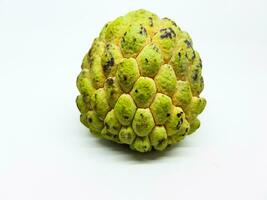 Green cherimoya fruit isolated on white background. A  Pair of near-ripe Geffner Atemoya photo