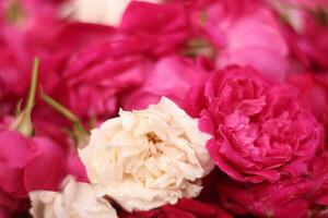 red roses in wooden baskets are sold on the roadside. photo