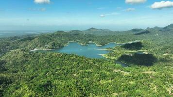 aéreo ver de waduk sermo artificial lago desde kalibru nacional parque, Indonesia. video