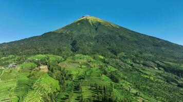 antenn se av sindoro berg i de morgon, belägen i Indonesien. video